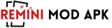 reminionlineapk.com